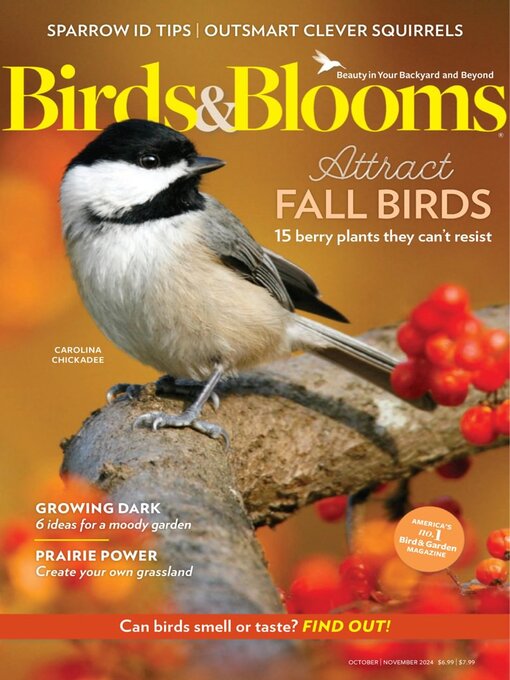 Title details for Birds & Blooms by Trusted Media Brands Inc. - Available